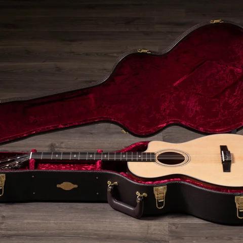 アコースティックギター300シリーズ | Taylor Guitars